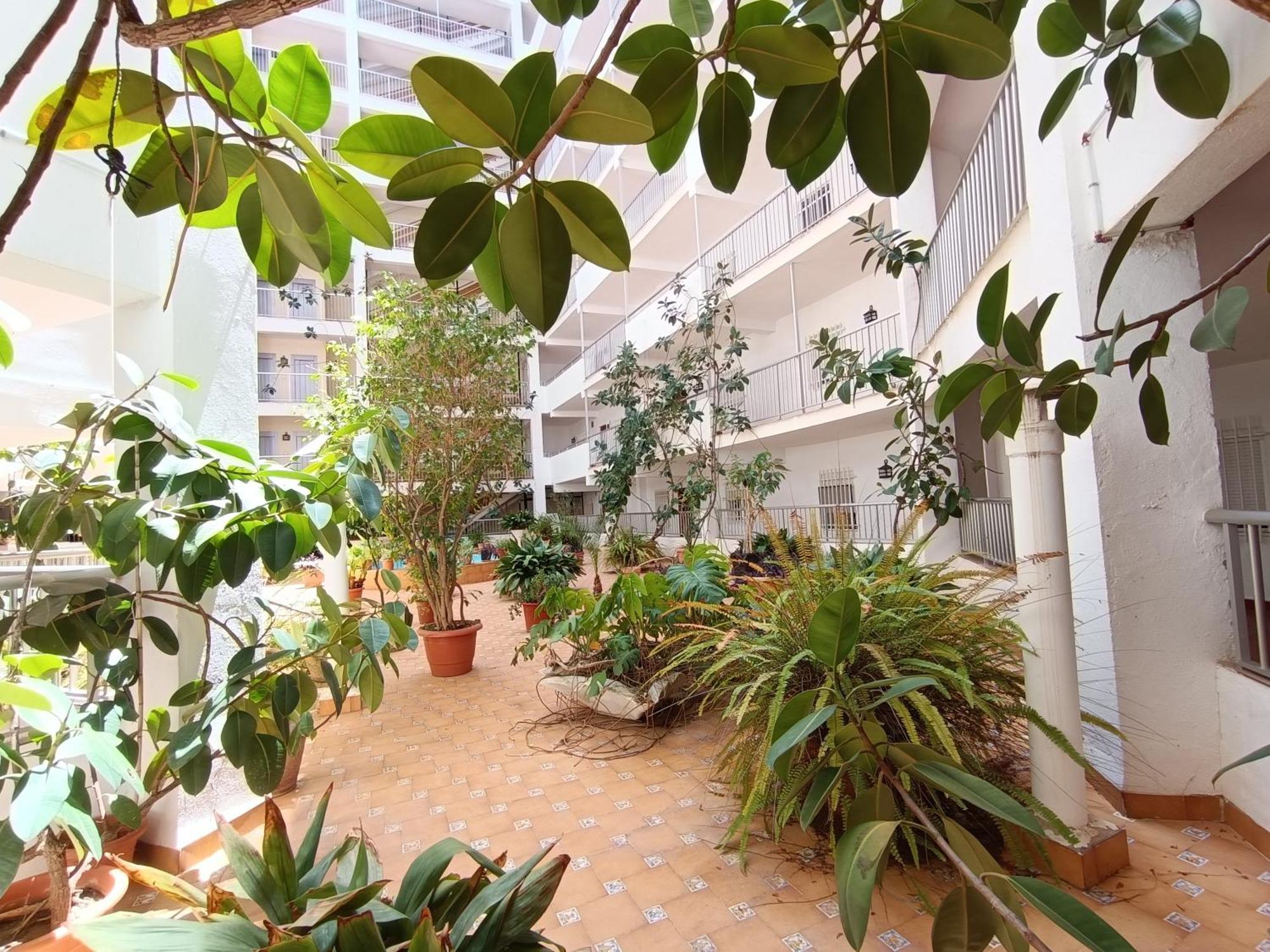 Amazing Beach Apartment Cullera Extérieur photo